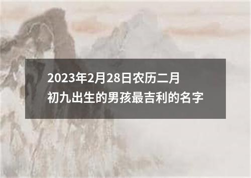 2023年2月28日农历二月初九出生的男孩最吉利的名字
