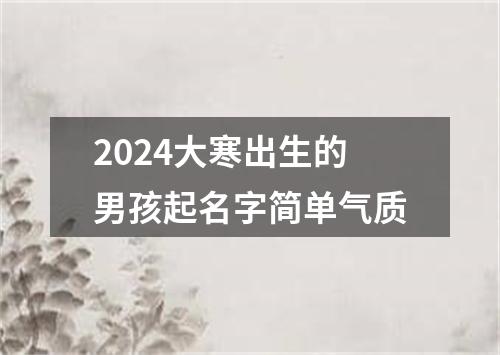 2024大寒出生的男孩起名字简单气质