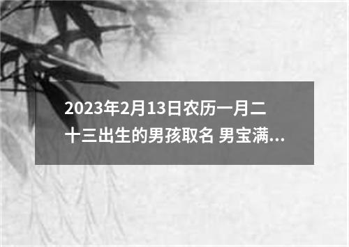 2023年2月13日农历一月二十三出生的男孩取名 男宝满分好名优选