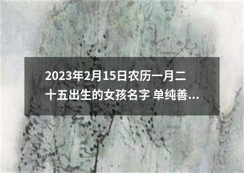 2023年2月15日农历一月二十五出生的女孩名字 单纯善良的女宝名字