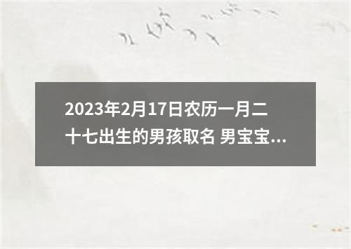 2023年2月17日农历一月二十七出生的男孩取名 男宝宝高分名字推荐