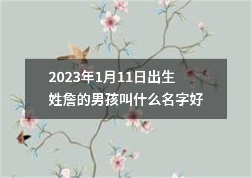 2023年1月11日出生姓詹的男孩叫什么名字好