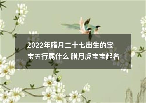 2022年腊月二十七出生的宝宝五行属什么 腊月虎宝宝起名