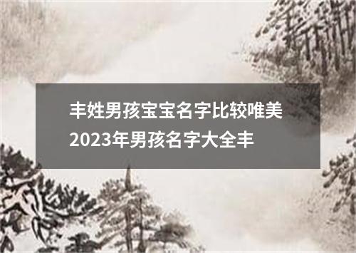 丰姓男孩宝宝名字比较唯美 2023年男孩名字大全丰