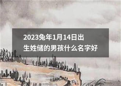 2023兔年1月14日出生姓储的男孩什么名字好