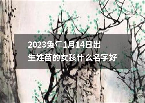 2023兔年1月14日出生姓苗的女孩什么名字好