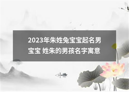 2023年朱姓兔宝宝起名男宝宝 姓朱的男孩名字寓意