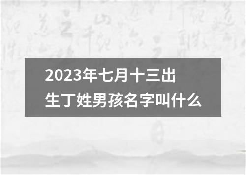 2023年七月十三出生丁姓男孩名字叫什么