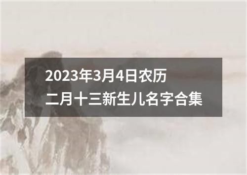 2023年3月4日农历二月十三新生儿名字合集