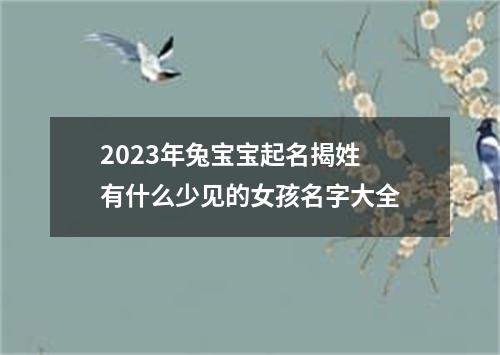 2023年兔宝宝起名揭姓 有什么少见的女孩名字大全