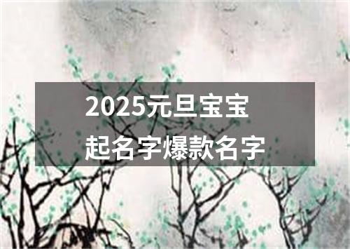2025元旦宝宝起名字爆款名字