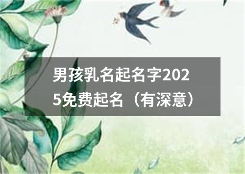 男孩乳名起名字2025免费起名（有深意）