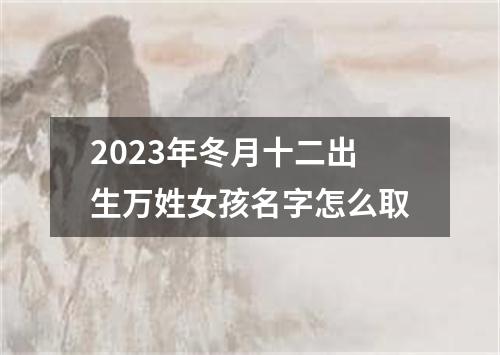 2023年冬月十二出生万姓女孩名字怎么取