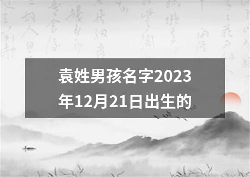袁姓男孩名字2023年12月21日出生的
