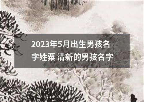 2023年5月出生男孩名字姓粟 清新的男孩名字
