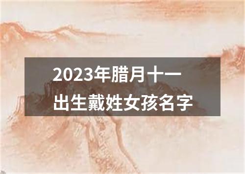 2023年腊月十一出生戴姓女孩名字