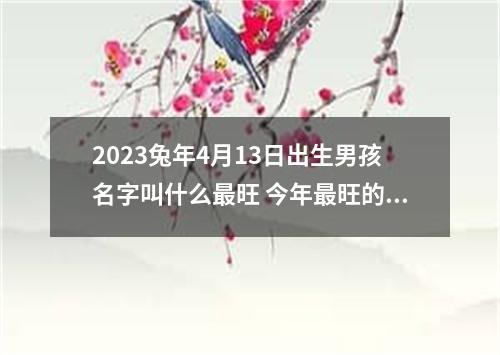 2023兔年4月13日出生男孩名字叫什么最旺 今年最旺的名字推荐