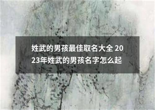 姓武的男孩最佳取名大全 2023年姓武的男孩名字怎么起