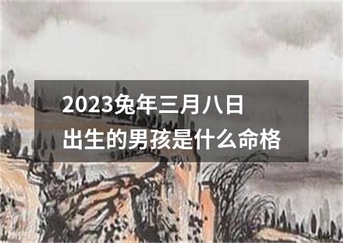 2023兔年三月八日出生的男孩是什么命格