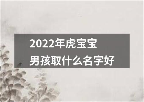 2022年虎宝宝男孩取什么名字好