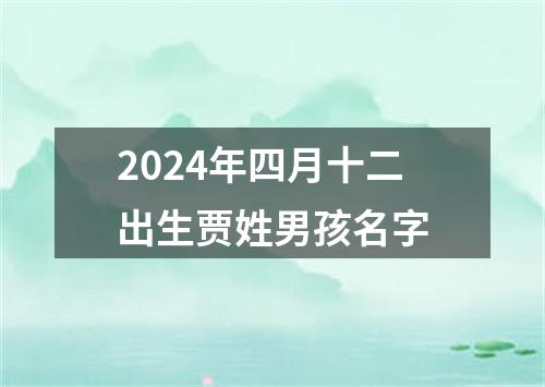 2024年四月十二出生贾姓男孩名字
