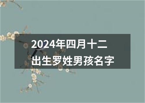 2024年四月十二出生罗姓男孩名字
