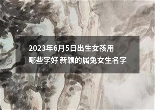 2023年6月5日出生女孩用哪些字好 新颖的属兔女生名字