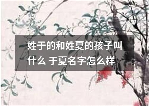 姓于的和姓夏的孩子叫什么 于夏名字怎么样
