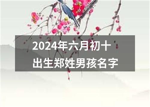2024年六月初十出生郑姓男孩名字