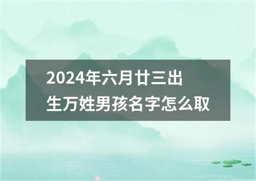 2024年六月廿三出生万姓男孩名字怎么取