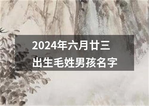 2024年六月廿三出生毛姓男孩名字