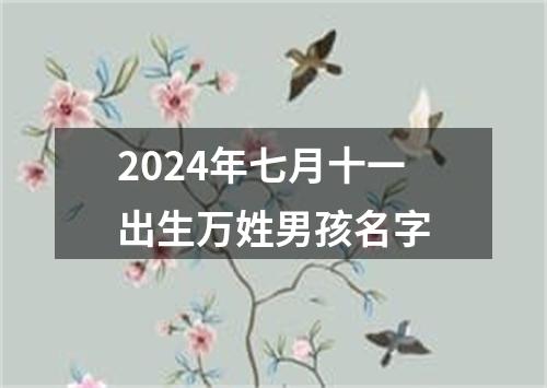 2024年七月十一出生万姓男孩名字