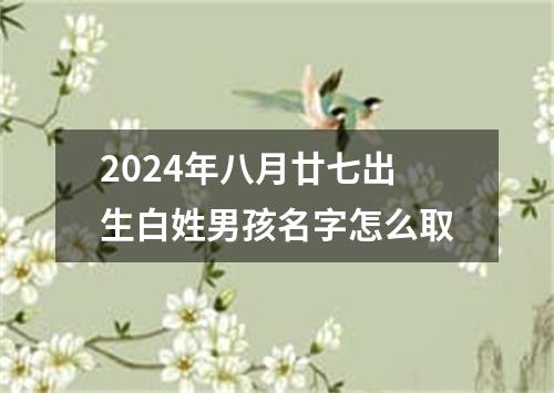 2024年八月廿七出生白姓男孩名字怎么取