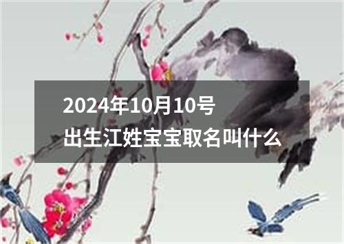2024年10月10号出生江姓宝宝取名叫什么