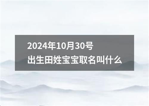 2024年10月30号出生田姓宝宝取名叫什么