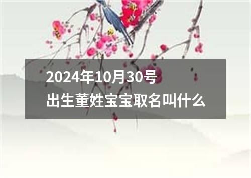 2024年10月30号出生董姓宝宝取名叫什么