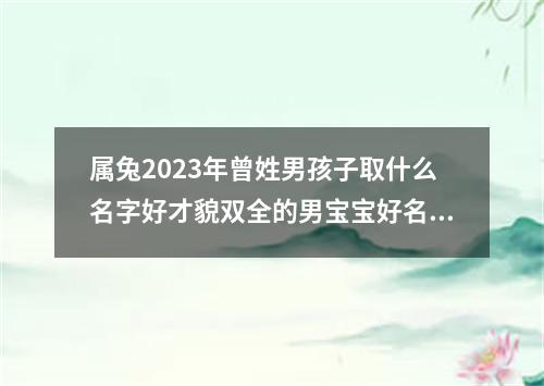 属兔2023年曾姓男孩子取什么名字好才貌双全的男宝宝好名字推荐
