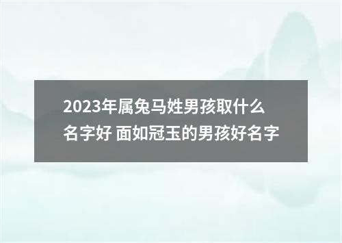2023年属兔马姓男孩取什么名字好 面如冠玉的男孩好名字