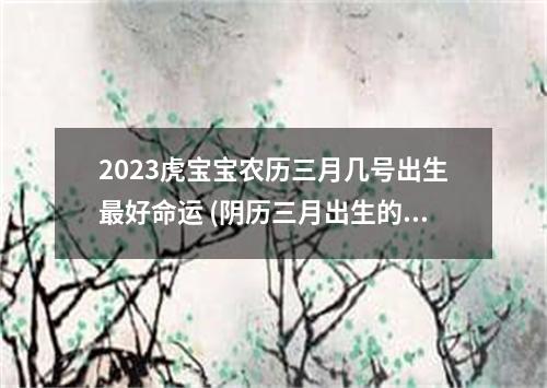 2023虎宝宝农历三月几号出生最好命运 (阴历三月出生的虎宝宝)
