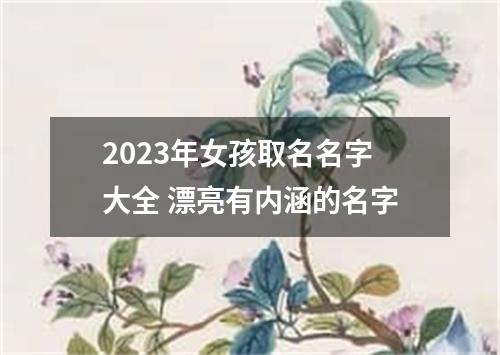 2023年女孩取名名字大全 漂亮有内涵的名字