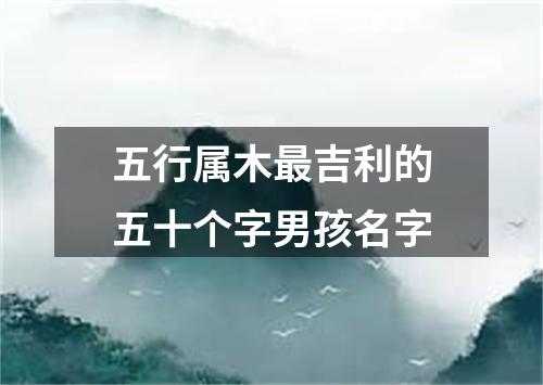 五行属木最吉利的五十个字男孩名字
