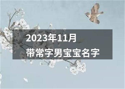 2023年11月带常字男宝宝名字