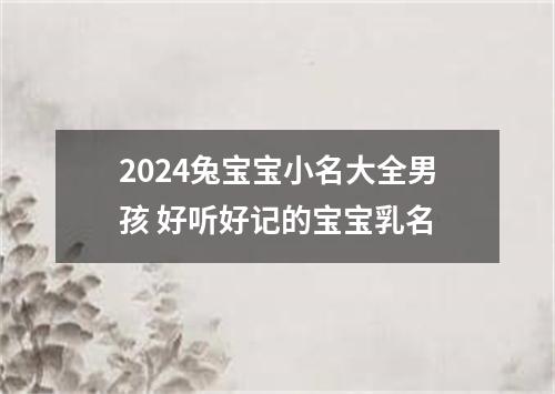 2024兔宝宝小名大全男孩 好听好记的宝宝乳名