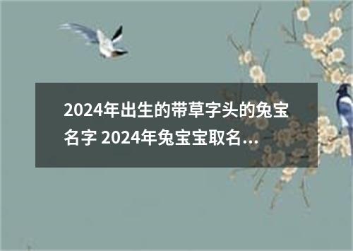 2024年出生的带草字头的兔宝名字 2024年兔宝宝取名禁忌