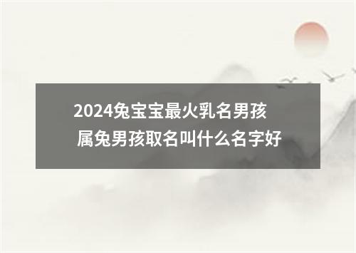 2024兔宝宝最火乳名男孩 属兔男孩取名叫什么名字好