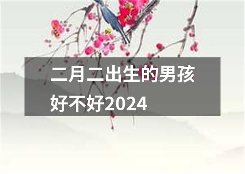 二月二出生的男孩好不好2024