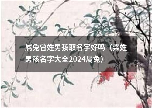 属兔曾姓男孩取名字好吗（梁姓男孩名字大全2024属兔）