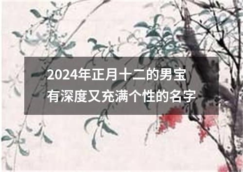 2024年正月十二的男宝有深度又充满个性的名字
