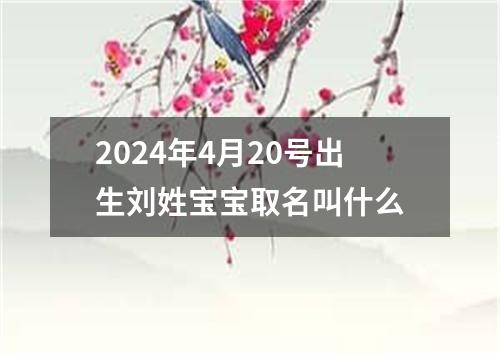 2024年4月20号出生刘姓宝宝取名叫什么