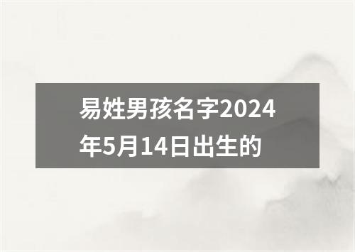 易姓男孩名字2024年5月14日出生的